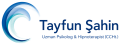 logo son hali header